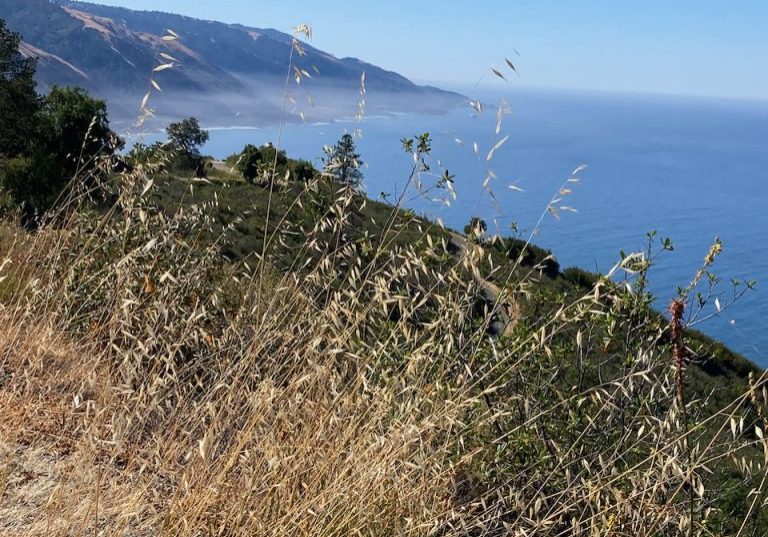 The Big Sur coastline near New Camaldoli Hermitage